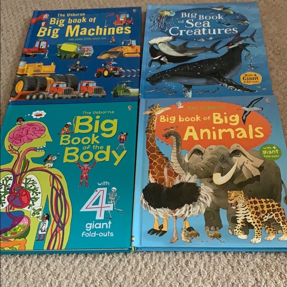 Usborne Big Books - huuuuuge fold out pages